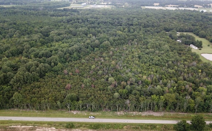 Pictures of Land property located at 15 Acres in Richland Parish, Rayville, LA 71269 for sales - image #1