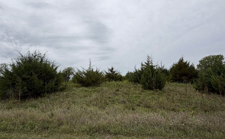 Pictures of Land, Special Purpose property located at Shooting Star Ave, Fairfield, IA 52556 for sales - image #1
