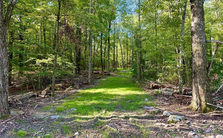 Pictures of Land property located at Mt Prosper Road, Mamakating, NY 12790 for sales - image #1
