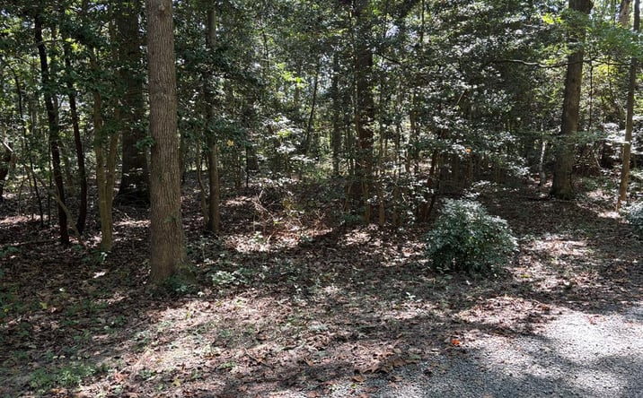 Pictures of Land property located at 47 Hickory Hill Ln, Lancaster, VA 22503 for sales - image #1