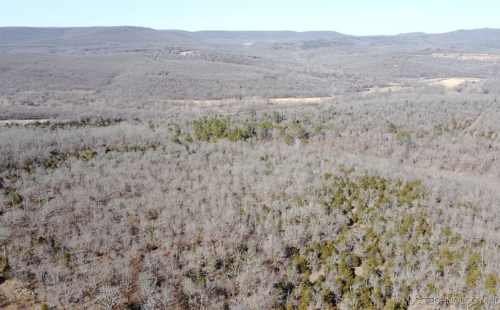 Pictures of Land property located at E 975 Road, Marble City, OK 74945 for sales - image #1