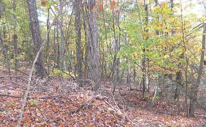 Pictures of Land, Multifamily property located at TBD Granite Lane, Chilhowie, VA 24319 for sales - image #1