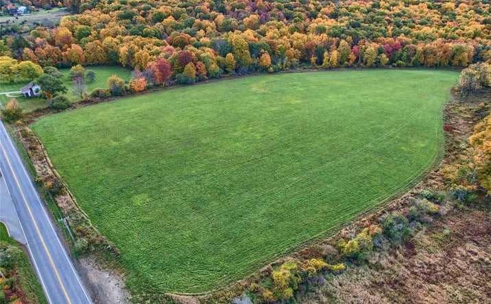 Pictures of Land property located at 1830 BRUZGUL Road, Union Vale, NY 12540 for sales - image #1