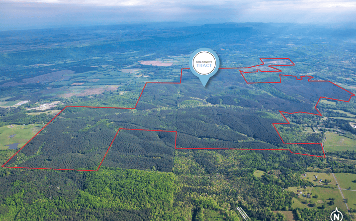 Pictures of Land property located at GA-48, Summerville, GA 30731 for sales - image #1