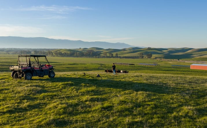 Pictures of Land property located at 17775 Long Hollow Road, Corning, CA 96021 for sales - image #1