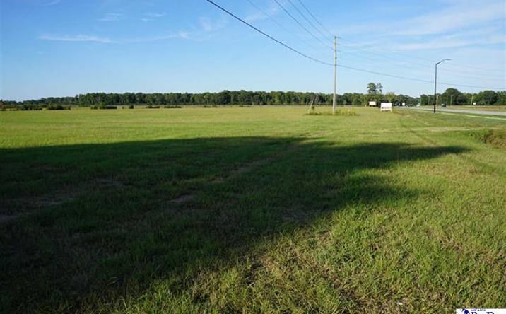 Pictures of Land property located at 1042 Sumter Hwy, Bishopville, SC 29010 for sales - image #1