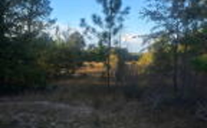 Pictures of Land property located at Tbd Hamilton Branch Way, Aiken, SC 29803 for sales - image #1