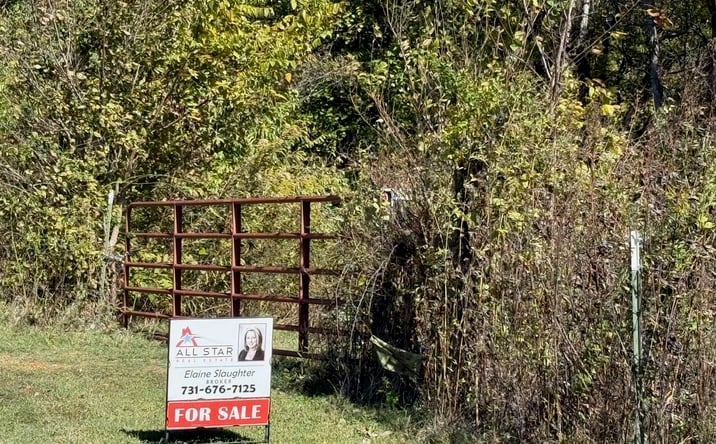 Pictures of Land property located at 1380 Cleve Duke Road, Hornbeak, TN 38232 for sales - image #1