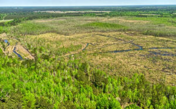 Pictures of Land, Multifamily, Special Purpose property located at Tbd Alligator Rd, Olar, SC 29843 for sales - image #1
