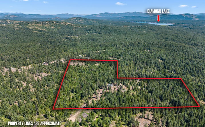 Pictures of Land property located at 1022 Spring Hill Rd, Newport, WA 99156 for sales - image #1