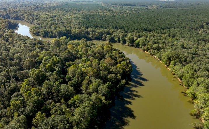 Pictures of Land property located at Abbeville Hwy, Rhine, GA 31077 for sales - image #1