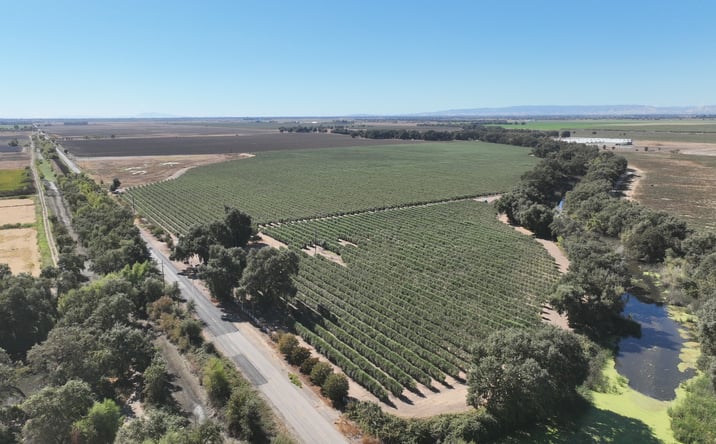 Pictures of Land property located at 20456 Co Rd 103, Woodland, CA 95776 for sales - image #1