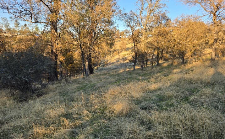 Pictures of Land property located at 0 avacado road, Bangor, CA 95914 for sales - image #1