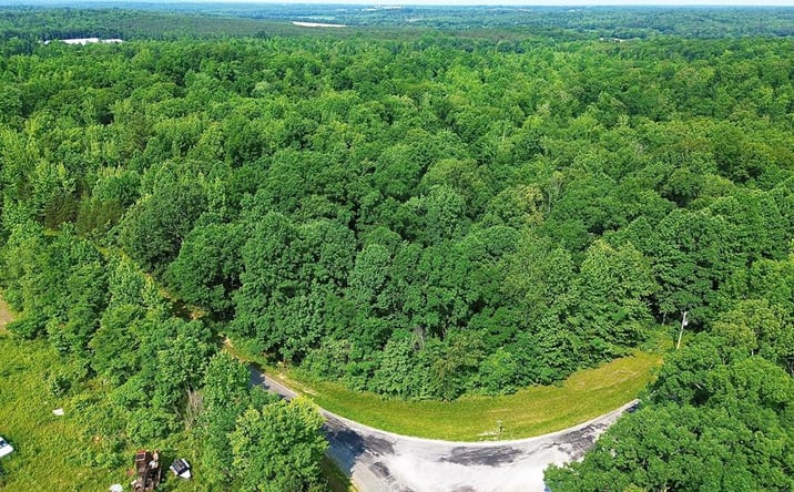 Pictures of Land property located at Futrell, Mckenzie, TN 38201 for sales - image #1