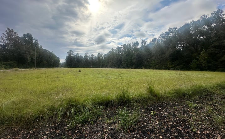 Pictures of Land property located at Low Ground Road, Guyton, GA 31312 for sales - image #1
