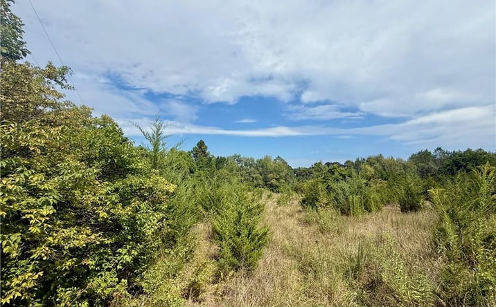 Pictures of Land property located at 5403 Bennington Avenue, Kansas City, MO 64129 for sales - image #1