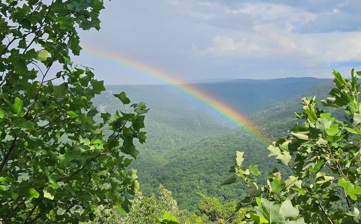 Pictures of Land property located at 0 Grassy Ridge Rd, Beersheba Springs, TN 37305 for sales - image #1