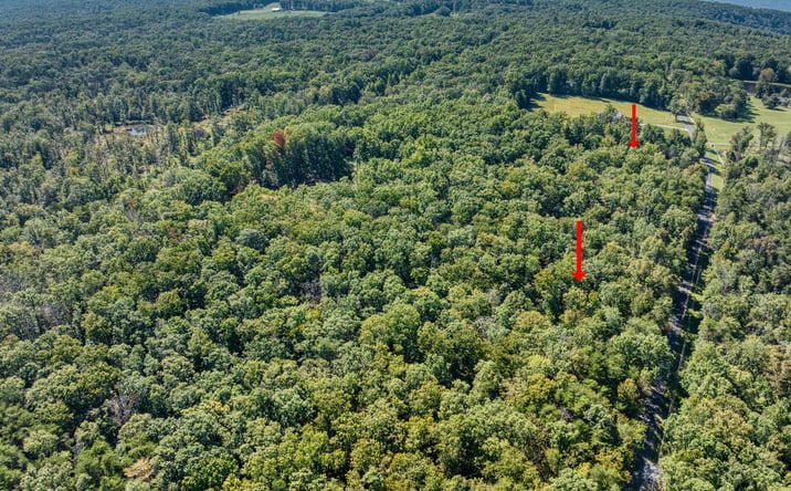Pictures of Land property located at 0 Pigeon Springs Rd, Tracy City, TN 37387 for sales - image #1