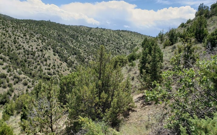 Pictures of Business for Sale property located at TBD Lombard Road, Toston, MT 59643 for sales - image #1