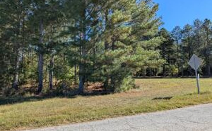 Pictures of Land, Mixed Use, Multifamily, Office, Industrial property located at Hwy 121, Trenton, SC 29847 for sales - image #1