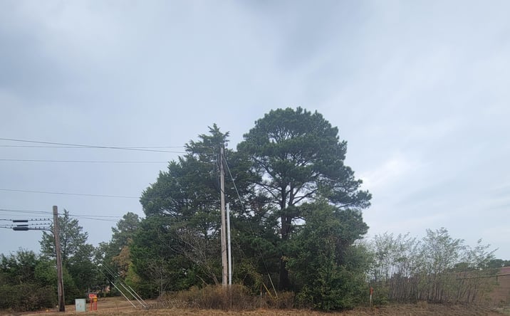 Pictures of Land property located at 3907 Stone Rd., Kilgore, TX 75662 for sales - image #1