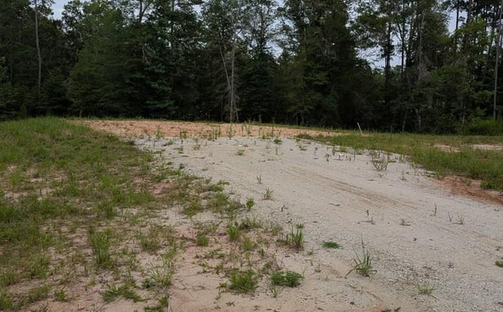 Pictures of Land property located at FM1669, Huntington, TX 75949 for sales - image #1