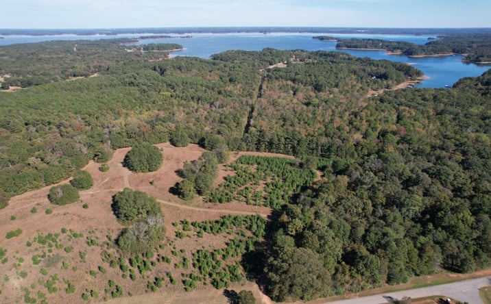 Pictures of Land property located at 0 Melody Lane, Hartwell, GA 30643 for sales - image #1