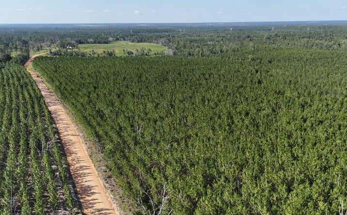Pictures of Land property located at Tract 12 - Penny Morris Rd, Baxley, GA 31513 for sales - image #1