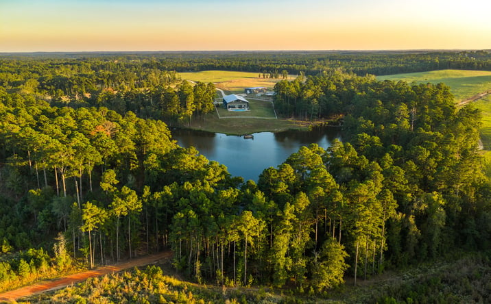 Pictures of Land property located at 10326 County Road 3112 N, Kilgore, TX 75662 for sales - image #1