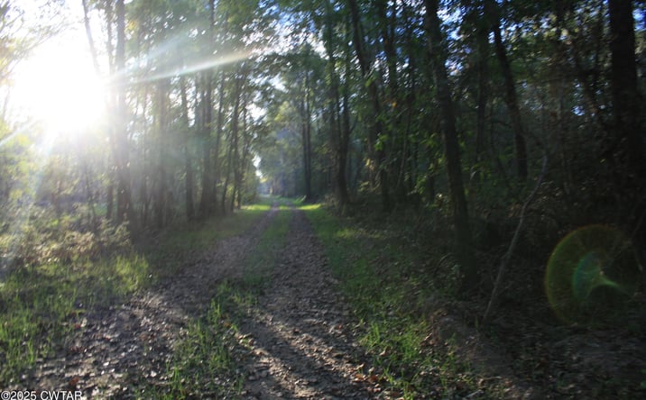 Pictures of Land property located at Garland Road, Henderson, TN 38340 for sales - image #1