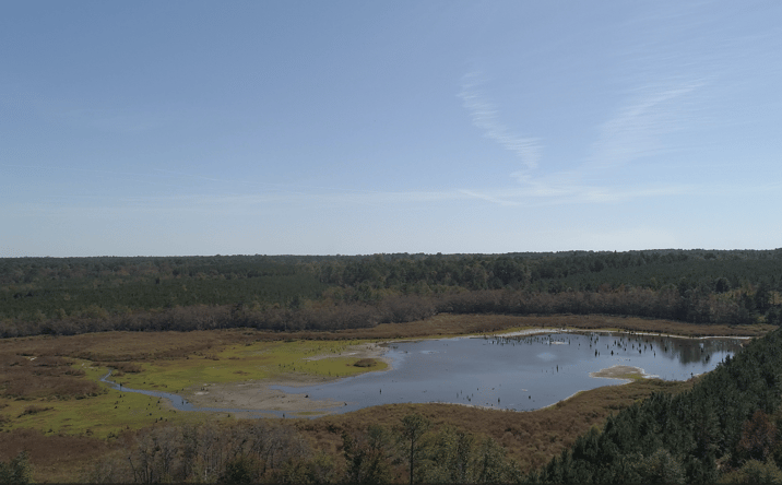 Pictures of Land property located at 2202 Kennedy Bridge Rd, Register, GA 30452 for sales - image #1