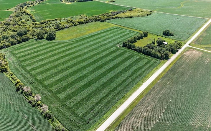 Pictures of Land property located at TBD 270th Avenue SW, Hayfield, MN 55940 for sales - image #1