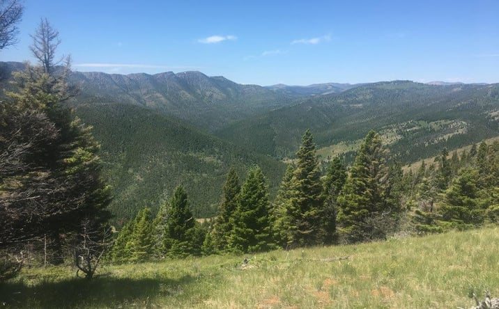 Pictures of Land property located at TBD Bear Track Road, Wolf Creek, MT 59648 for sales - image #1