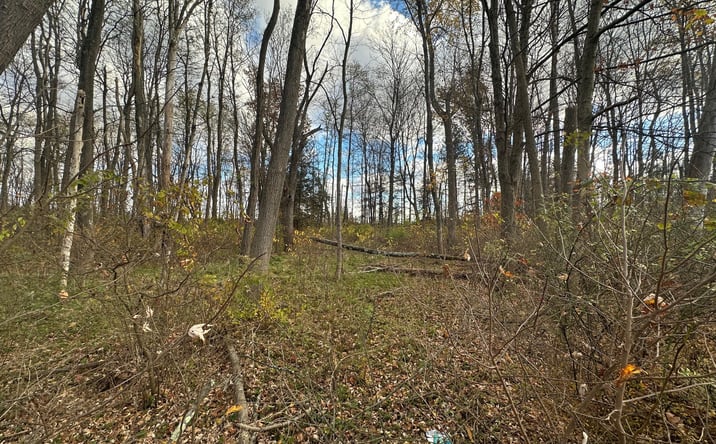 Pictures of Land property located at 143 Vail Rd, Knowlton Township, NJ 07832 for sales - image #1