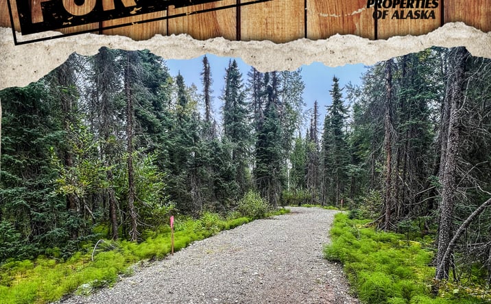 Pictures of Land property located at 39795 Parks Hwy, Willow, AK 99688 for sales - image #1