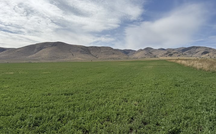 Pictures of Land property located at Samaria Foothills Farm, Malad Valley, ID 83252 for sales - image #1