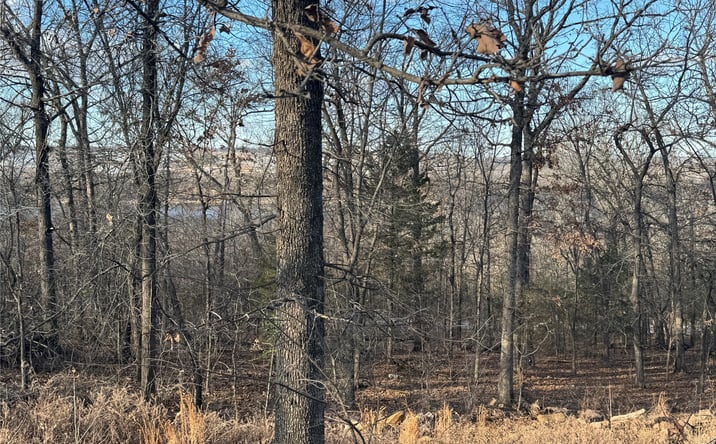Pictures of Land property located at 7 W 867 Road, Park Hill, OK 74451 for sales - image #1