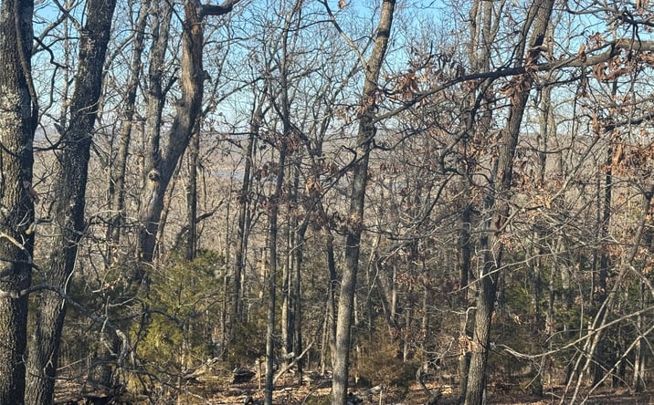Pictures of Land property located at 2 W 867 Road, Park Hill, OK 74451 for sales - image #1