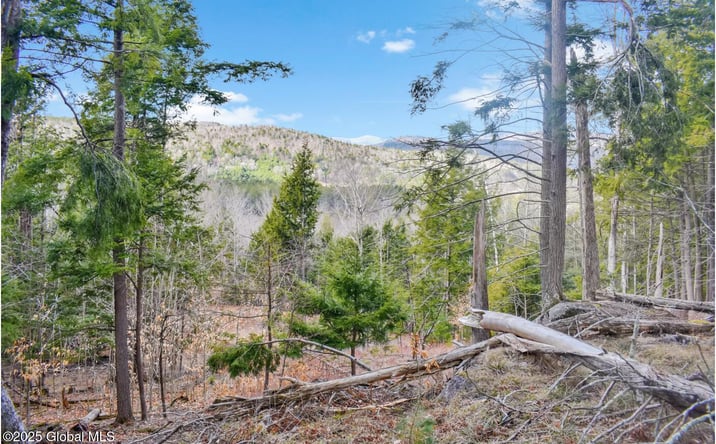 Pictures of Land property located at L17 Mountain Meadows Road, Horicon, NY 12860 for sales - image #1