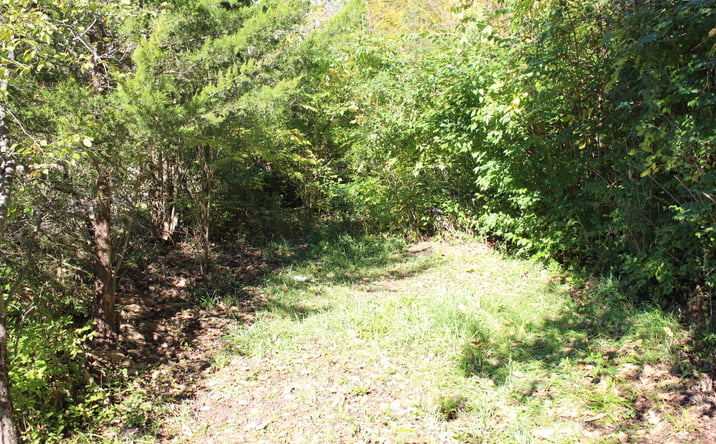 Pictures of Multifamily, Senior Living, Special Purpose property located at Vacant E Clark Road, Ypsilanti, MI 48198 for sales - image #1