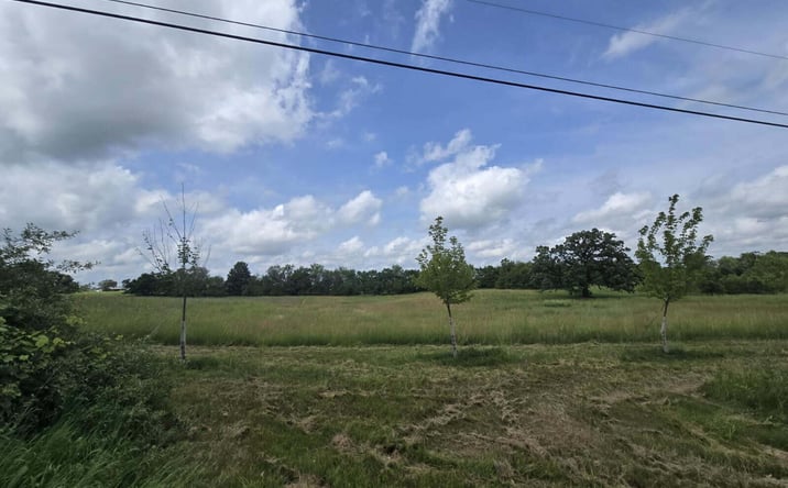 Pictures of Land property located at Walkowe Lane, Manchester, MI 48158 for sales - image #1