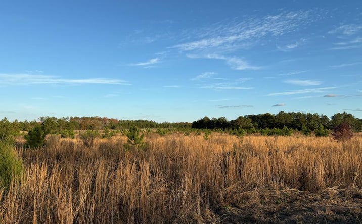 Pictures of Special Purpose property located at 0 S Ga Hwy 0041 South, BUENA VISTA, GA 31803 for sales - image #1