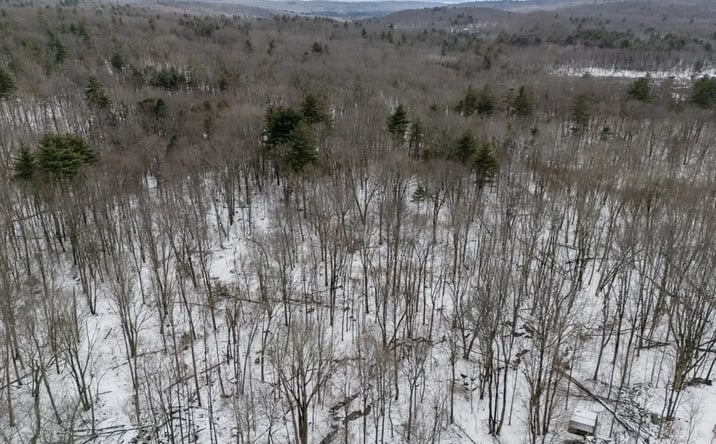 Pictures of Land property located at 515 Keys Rd, West Brookfield, MA 01585 for sales - image #1