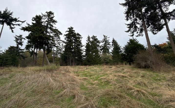Pictures of Land property located at 29922 WA-525, Coupeville, WA 98239 for sales - image #1