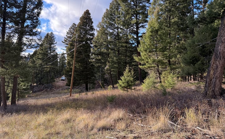 Pictures of Land property located at Lot 5 Scranton Lode, Philipsburg, MT 59858 for sales - image #1