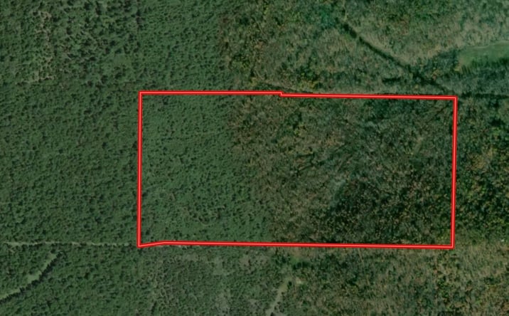 Pictures of Land property located at Co Rd 204, Alton, MO 65606 for sales - image #1