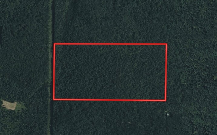 Pictures of Land property located at TBD Highway 21, Doniphan, MO 63935 for sales - image #1