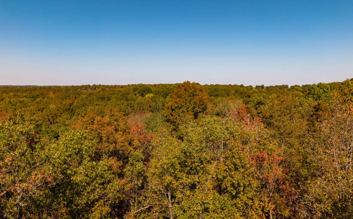 Pictures of Land property located at 20256 Highway V, Myrtle, MO 65778 for sales - image #1