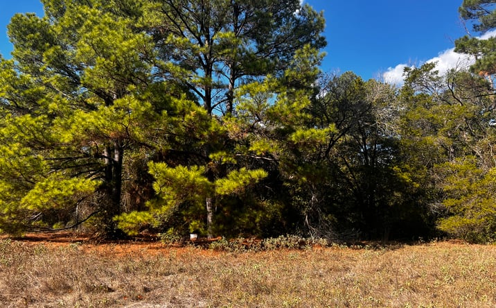 Pictures of Land property located at 411 Laura Ln, Bastrop, TX 78602 for sales - image #1