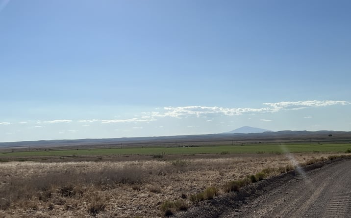 Pictures of Land property located at Blue Bell Farm, Roswell, NM 87011 for sales - image #1